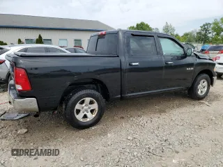 2010 Dodge 1500 SLT with VIN 1D7RV1CP1AS174131, listed as a Copart auction lot 60446704 with 164,653 mi miles and Non Repairable. Bid and sale history available at DreamBid. Image 3.