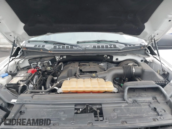 2018 Ford F-150 XL with VIN 1FTEX1CP5JKE02604, listed as a IAAI auction lot 42490050 with 171,521 mi miles and . Bid and sale history available at DreamBid. Image 10.