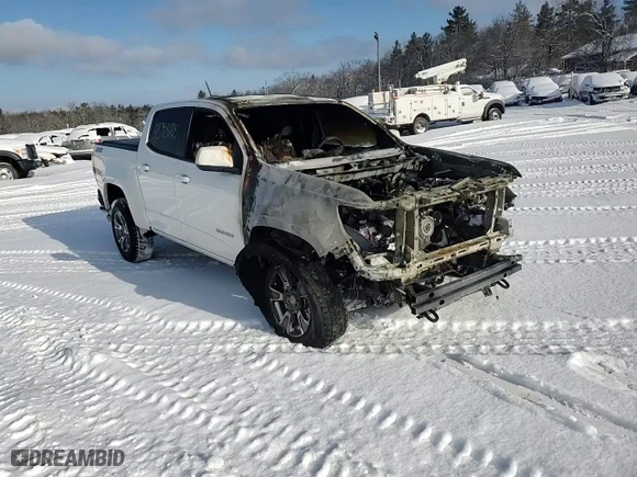 2017 Chevrolet Colorado 2WD Z71 with VIN 1GCGSDE19H1171546, listed as a Copart auction lot 42098005 with 0 mi miles and Non Repairable. Bid and sale history available at carsss.com. Image 10.