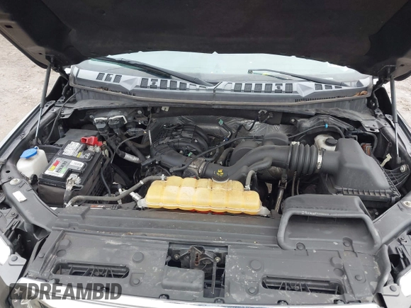 2016 Ford F-150 XLT with VIN 1FTEX1E8XGFD02909, listed as a IAAI auction lot 41965770 with 139,113 mi miles and . Bid and sale history available at DreamBid. Image 10.