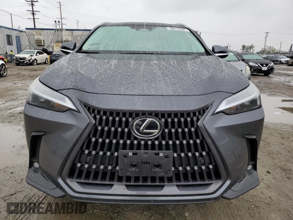 2023 Lexus NX with VIN 2T2GGCEZ0PC019310, listed as a Copart auction lot 48616335 with 11,229 mi miles and Salvage Title. Bid and sale history available at carsss.com. Image 5.