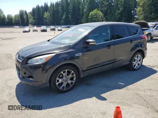 2013 Ford Escape SEL with VIN 1FMCU0HXXDUC79552, listed as a Copart auction lot 66146225 with Not provided miles and Salvage title. Bid and sale history available at DreamBid. Image 1.