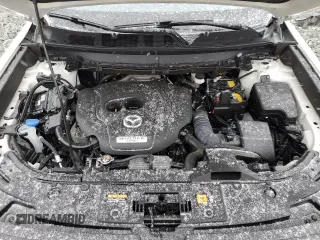 2022 Mazda CX-9 Sport with VIN JM3TCBBY5N0606542, listed as a Copart auction lot 46121915 with 53,510 mi miles and Salvage Title. Bid and sale history available at carsss.com. Image 12.