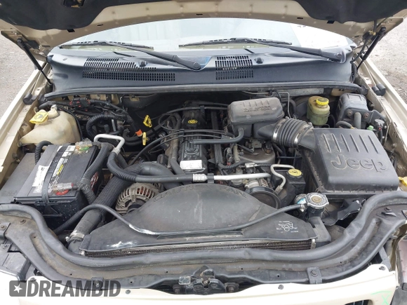 2000 Jeep Grand Cherokee Limited with VIN 1J4GW58S8YC361416, listed as a IAAI auction lot 42342095 with 138,100 mi miles and . Bid and sale history available at DreamBid. Image 10.