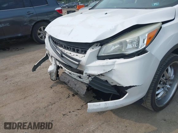 2014 Ford Escape SE with VIN 1FMCU9G99EUC81141, listed as a IAAI auction lot 42436279 with 123,947 mi miles and . Bid and sale history available at DreamBid. Image 6.