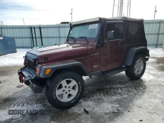 2001 Jeep Wrangler SE with VIN 1J4FA29P91P308872, listed as a Copart auction lot 45676435 with 179,486 mi miles and Salvage Title. Bid and sale history available at carsss.com. Image 1.