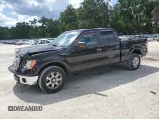 2013 Ford F-150 XL with VIN 1FTFW1EF1DFB70494, listed as a Copart auction lot 61549945 with 124,216 mi miles and Salvage title. Bid and sale history available at DreamBid. Image 1.