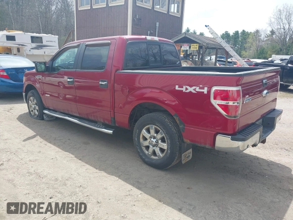 2013 Ford F-150 XL with VIN 1FTFW1ET7DFD87683, listed as a IAAI auction lot 42157395 with 185,649 mi miles. Bid and sale history available at carsss.com. Image 3.