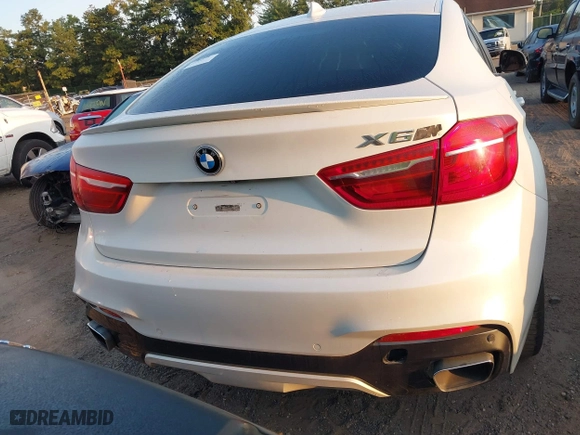 2017 BMW X6 xDrive35i with VIN 5UXKU2C37H0U29936, listed as a IAAI auction lot 40332243 with 95,187 mi miles. Bid and sale history available at carsss.com. Image 16.