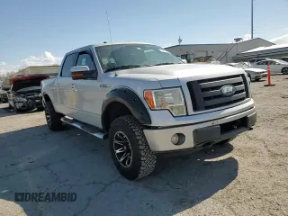 2009 Ford F-150 XL with VIN 1FTPW14V39FA07124, listed as a Copart auction lot 58660225 with 169,321 mi miles and Salvage title. Bid and sale history available at DreamBid. Image 14.