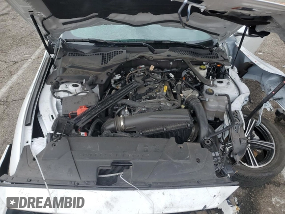 2024 Ford Mustang EcoBoost with VIN 1FAGP8UH5R5134002, listed as a Copart auction lot 43641575 with 0 mi miles and Non Repairable. Bid and sale history available at carsss.com. Image 11.