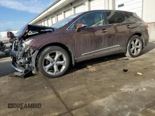 2013 Toyota Venza LE with VIN 4T3BK3BB4DU081587, listed as a Copart auction lot 46638185 with 166,002 mi miles and Salvage Title. Bid and sale history available at DreamBid. Image 1.