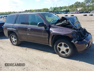 2009 Chevrolet TrailBlazer 1LT with VIN 1GNDS33S192101597, listed as a IAAI auction lot 42205961 with 76,878 mi miles and . Bid and sale history available at DreamBid. Image 1.