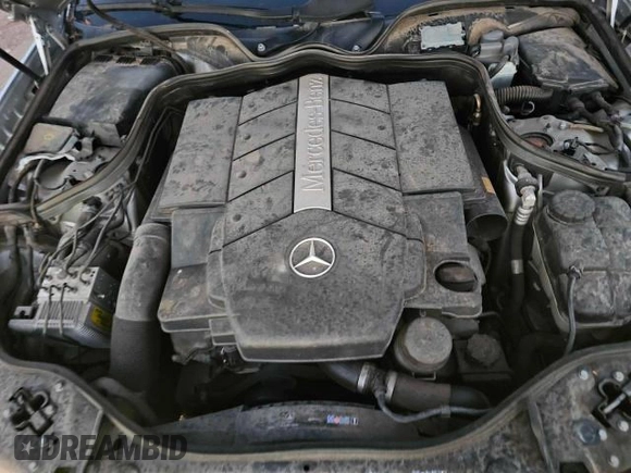 2003 Mercedes-Benz E-Class 5.0L with VIN WDBUF70J83A252853, listed as a Copart auction lot 82934494 with 181,702 mi miles and Clean Title. Bid and sale history available at carsss.com. Image 7.