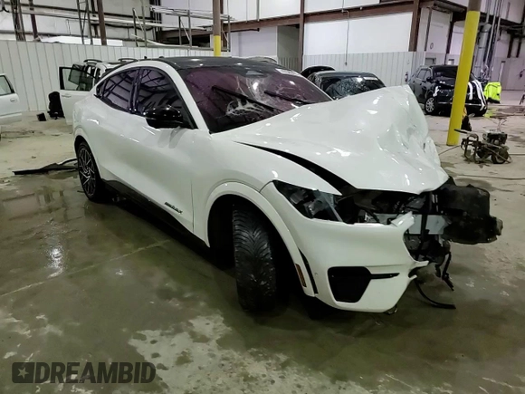 2023 Ford Mustang Mach-E GT with VIN 3FMTK4SXXPMA39478, listed as a Copart auction lot 47542435 with Not Provided miles and Salvage Title. Bid and sale history available at DreamBid. Image 14.