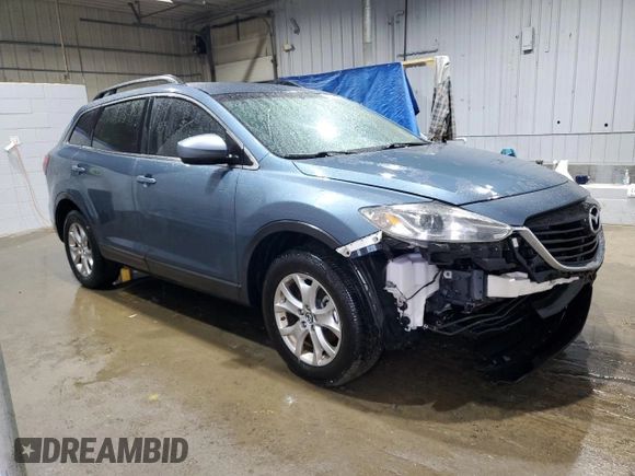 2014 Mazda CX-9 Touring with VIN JM3TB2CA2E0436726, listed as a Copart auction lot 49463005 with 140,539 mi miles and Salvage Title. Bid and sale history available at carsss.com. Image 4.