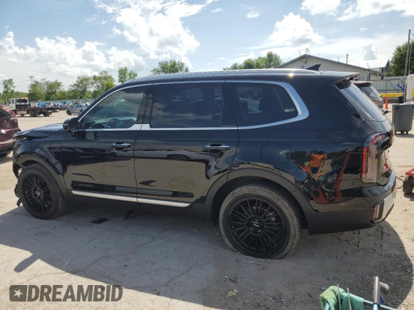 2024 Kia Telluride SX Prestige X-Pro with VIN 5XYP5DGC6RG531640, listed as a Copart auction lot 61953805 with 12,889 mi miles and Salvage title. Bid and sale history available at DreamBid. Image 2.