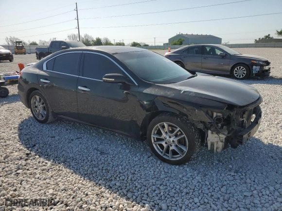 2009 Nissan Maxima 3.5 SV w/Premium Pkg with VIN 1N4AA51E69C808394, listed as a Copart auction lot 52935125 with 258,079 mi miles and Salvage Title. Bid and sale history available at carsss.com. Image 4.