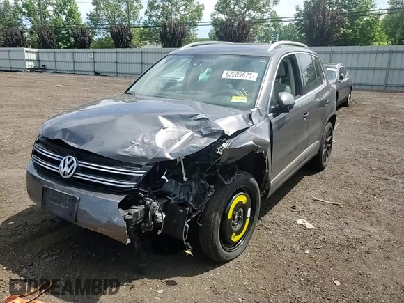 2013 Volkswagen Tiguan SE with VIN WVGBV7AX1DW009495, listed as a Copart auction lot 62289675 with Not provided miles and Salvage title. Bid and sale history available at DreamBid. Image 13.