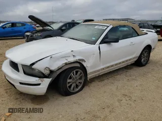 2006 Ford Mustang Standard with VIN 1ZVFT84N365149453, listed as a Copart auction lot 46847655 with 146,085 mi miles and Salvage Title. Bid and sale history available at carsss.com. Image 1.
