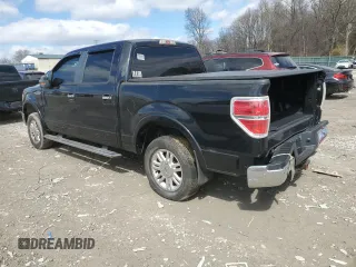 2009 Ford F-150 XL with VIN 1FTPW12VX9FB01228, listed as a Copart auction lot 47942475 with 208,185 mi miles and Clean Title. Bid and sale history available at carsss.com. Image 2.