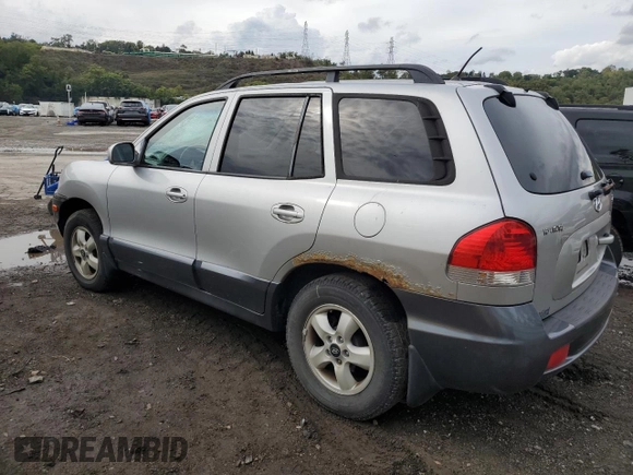 2005 Hyundai Santa Fe GLS with VIN KM8SC73D25U931019, listed as a Copart auction lot 72907894 with 246,060 mi miles and Salvage Title. Bid and sale history available at carsss.com. Image 2.
