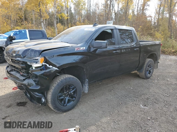 2022 Chevrolet Silverado 1500 LT Trail Boss with VIN 3GCUDFED4NG525165, listed as a Copart auction lot 77381464 with 49,349 mi miles and Salvage Title. Bid and sale history available at DreamBid. Image 1.