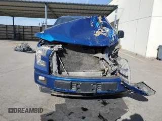2017 Ford F-150 XL with VIN 1FTEX1CF9HKE55808, listed as a Copart auction lot 49308685 with 174,032 mi miles and Salvage Title. Bid and sale history available at carsss.com. Image 5.