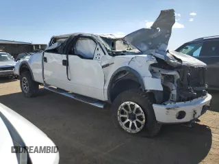 2009 Ford F-150 XL with VIN 1FTPW14V19FA66429, listed as a Copart auction lot 46923705 with 157,630 mi miles and Non Repairable. Bid and sale history available at DreamBid. Image 4.