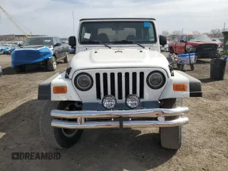 2002 Jeep Wrangler X with VIN 1J4FA39S72P759469, listed as a Copart auction lot 49701165 with 132,790 mi miles and Clean Title. Bid and sale history available at carsss.com. Image 5.