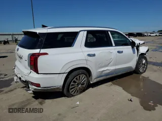 2020 Hyundai Palisade Limited with VIN KM8R5DHE9LU102289, listed as a Copart auction lot 54194415 with 98,282 mi miles and Salvage title. Bid and sale history available at DreamBid. Image 3.