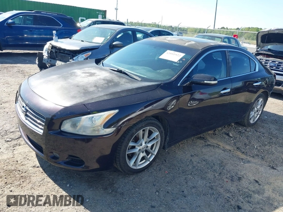 2010 Nissan Maxima SV with VIN 1N4AA5AP4AC850777, listed as a IAAI auction lot 42051922 with 232,757 mi miles and . Bid and sale history available at DreamBid. Image 18.