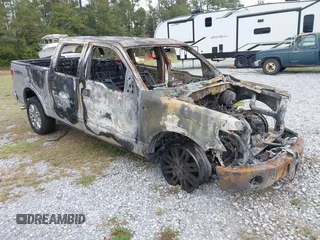2013 Ford F-150 XL with VIN 1FTFW1ET5DFC47258, listed as a IAAI auction lot 41505263 with 1 mi miles. Bid and sale history available at carsss.com. Image 1.