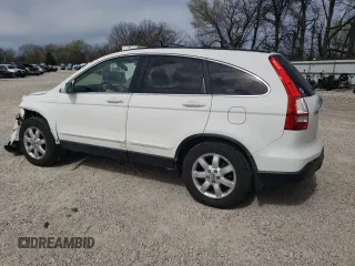 2007 Honda CR-V EX-L with VIN JHLRE48797C059772, listed as a Copart auction lot 50582785 with 255,581 mi miles and Salvage Title. Bid and sale history available at carsss.com. Image 2.