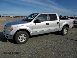 2012 Ford F-150 XL with VIN 1FTEW1CM6CFB95371, listed as a Copart auction lot 49533225 with 137,582 mi miles and Salvage Title. Bid and sale history available at carsss.com. Image 1.