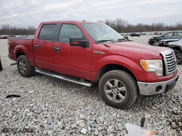 2010 Ford F-150 XL with VIN 1FTEW1E8XAFD90161, listed as a Copart auction lot 86384894 with 0 mi miles and Salvage Title. Bid and sale history available at carsss.com. Image 4.