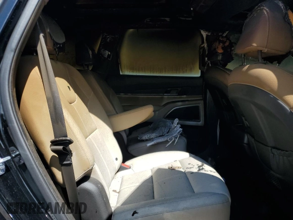 2023 Kia Telluride SX with VIN 5XYP54GC9PG328612, listed as a Copart auction lot 62282635 with Not provided miles and Non repairable. Bid and sale history available at DreamBid. Image 11.