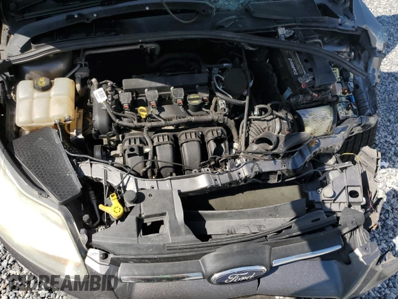 2014 Ford Focus SE with VIN 1FADP3K24EL360011, listed as a Copart auction lot 53261705 with Not Provided miles and Non Repairable. Bid and sale history available at carsss.com. Image 11.