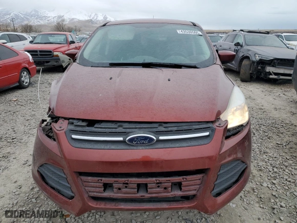 2014 Ford Escape SE with VIN 1FMCU0GX4EUE41050, listed as a Copart auction lot 43530505 with 186,850 mi miles and Salvage Title. Bid and sale history available at carsss.com. Image 5.