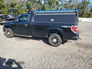2013 Ford F-150 XL with VIN 1FTMF1EM2DKF82341, listed as a Copart auction lot 79091004 with 185,594 mi miles and Non Repairable. Bid and sale history available at DreamBid. Image 2.