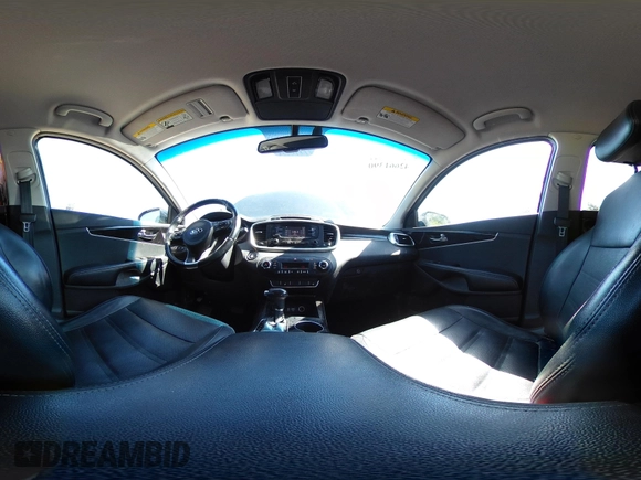 2016 Kia Sorento EX with VIN 5XYPHDA5XGG176132, listed as a IAAI auction lot 42661390 with 263,481 mi miles and . Bid and sale history available at DreamBid. Image 18.