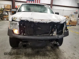 2014 Ford F-150 XL with VIN 1FTMF1CM7EKD61547, listed as a Copart auction lot 51966015 with 175,234 mi miles and Salvage title. Bid and sale history available at DreamBid. Image 5.