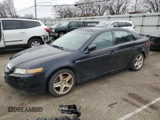 2005 Acura TL with VIN 19UUA66295A001838, listed as a Copart auction lot 45127454 with 194,389 mi miles and Clean Title. Bid and sale history available at carsss.com. Image 1.