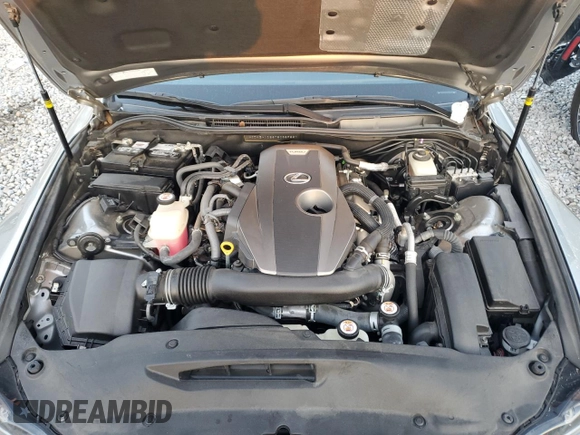 2019 Lexus IS with VIN JTHBA1D26K5085955, listed as a Copart auction lot 79029424 with 40,555 mi miles and Salvage Title. Bid and sale history available at carsss.com. Image 11.