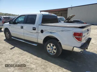 2010 Ford F-150 XL with VIN 1FTEW1C87AFD70646, listed as a Copart auction lot 53051625 with 162,396 mi miles and Salvage Title. Bid and sale history available at carsss.com. Image 2.
