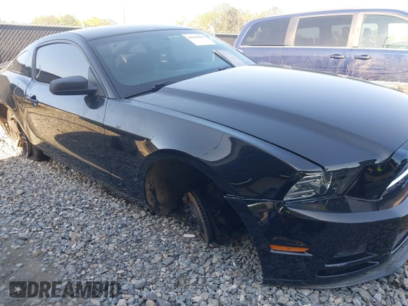 2013 Ford Mustang V6 with VIN 1ZVBP8AM7D5220360, listed as a IAAI auction lot 41994841 with 175,815 mi miles. Bid and sale history available at carsss.com. Image 6.