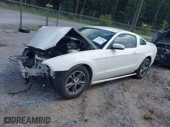 2013 Ford Mustang V6 z VIN 1ZVBP8AM8D5260415, wystawiony jako IAAI lot #40332516 z przebiegiem 200 953 mil mil oraz . Historia ofert i sprzedaży dostępna na DreamBid. Obrazek 2.