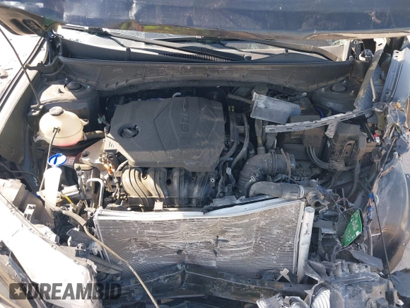 2023 Hyundai Santa Cruz SEL с VIN 5NTJCDAE4PH053537, выставлен на аукционе IAAI как лот 41981106 с пробегом 47 019 миль миль и . История ставок и продаж доступна на DreamBid. Изображение 10.