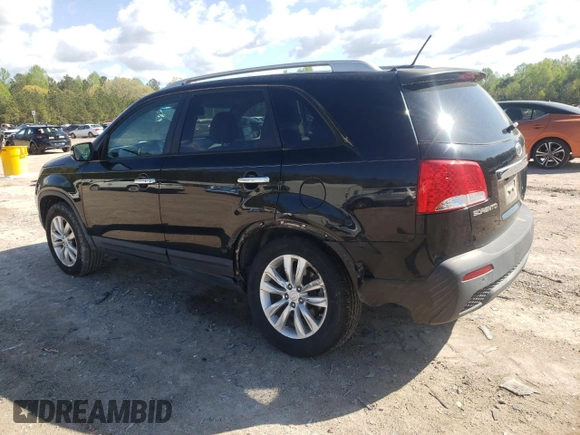 2011 Kia Sorento EX with VIN 5XYKU3A11BG119498, listed as a Copart auction lot 53021245 with 144,844 mi miles and Salvage Title. Bid and sale history available at carsss.com. Image 2.