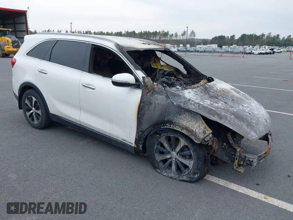 2017 Kia Sorento EX with VIN 5XYPHDA57HG271491, listed as a IAAI auction lot 42111594 with 79,556 mi miles and . Bid and sale history available at DreamBid. Image 1.